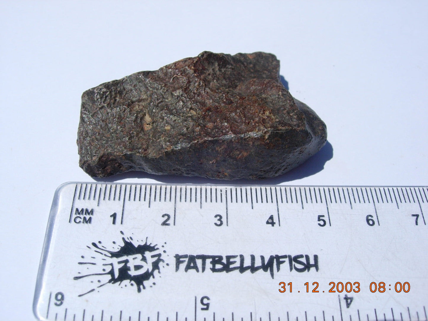 NWA 869 Ordinary Chondrite L3-6 Meteorite 36.4g