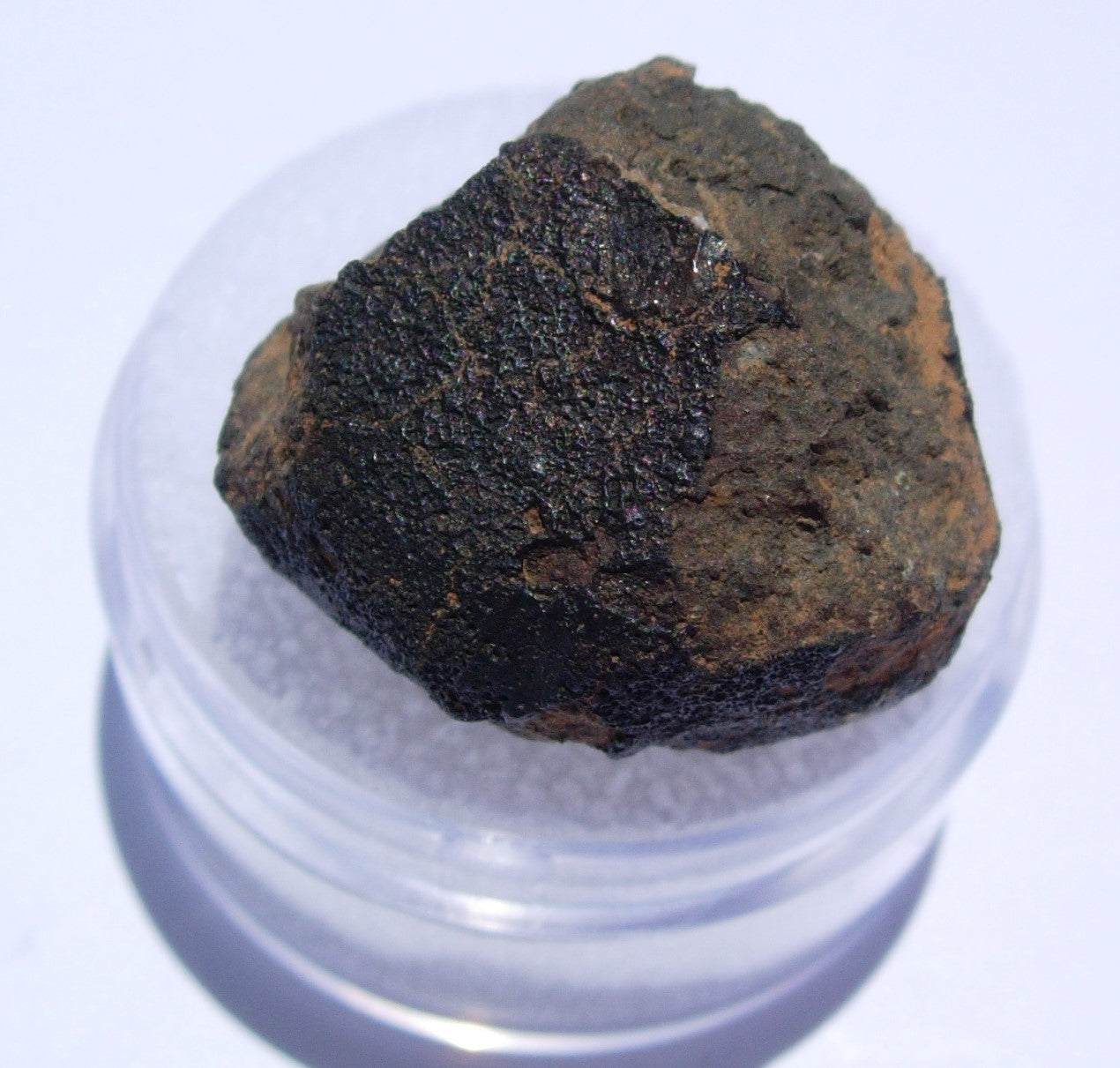 Allende Carbonaceous Chondrite CV3 7.06g