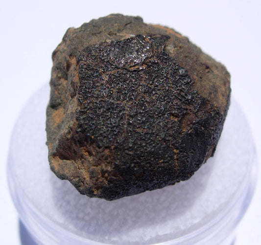 Allende Carbonaceous Chondrite CV3 7.06g