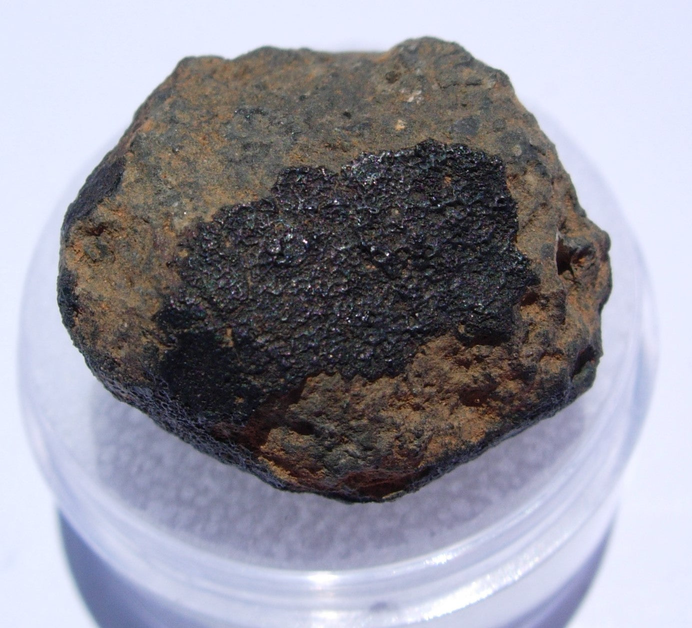 Allende Carbonaceous Chondrite CV3 7.06g