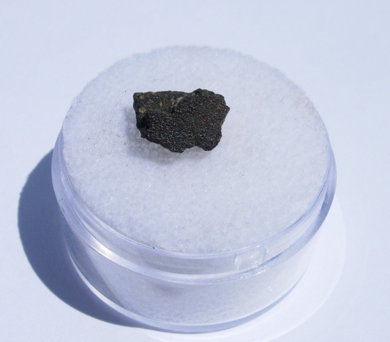 Crusted Murchison Carbonaceous Chondrite CM2 Meteorite .39g