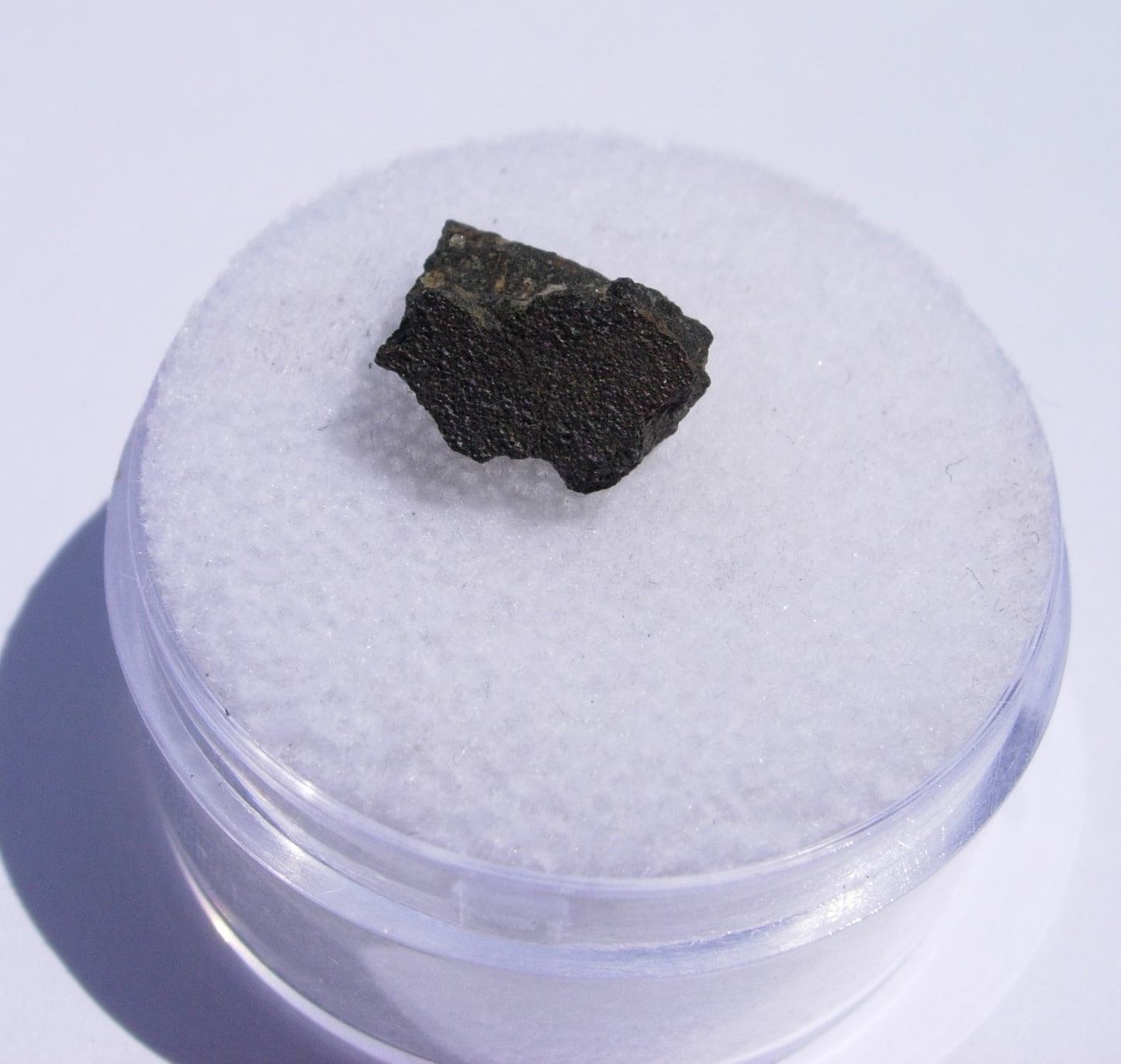 Crusted Murchison Carbonaceous Chondrite CM2 Meteorite .39g